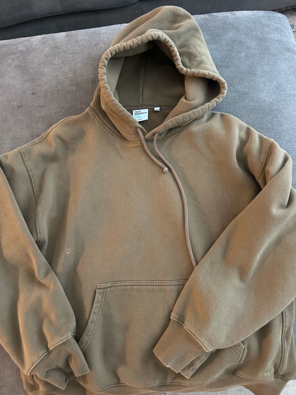 TNA aritzia hoodie